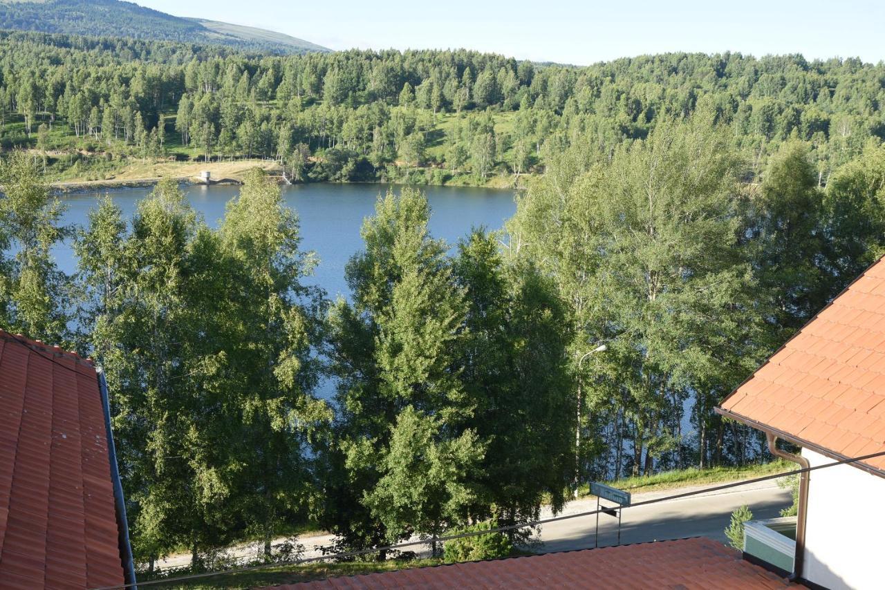 MM Narcis Bed and Breakfast Vlasina Rid Exterior foto