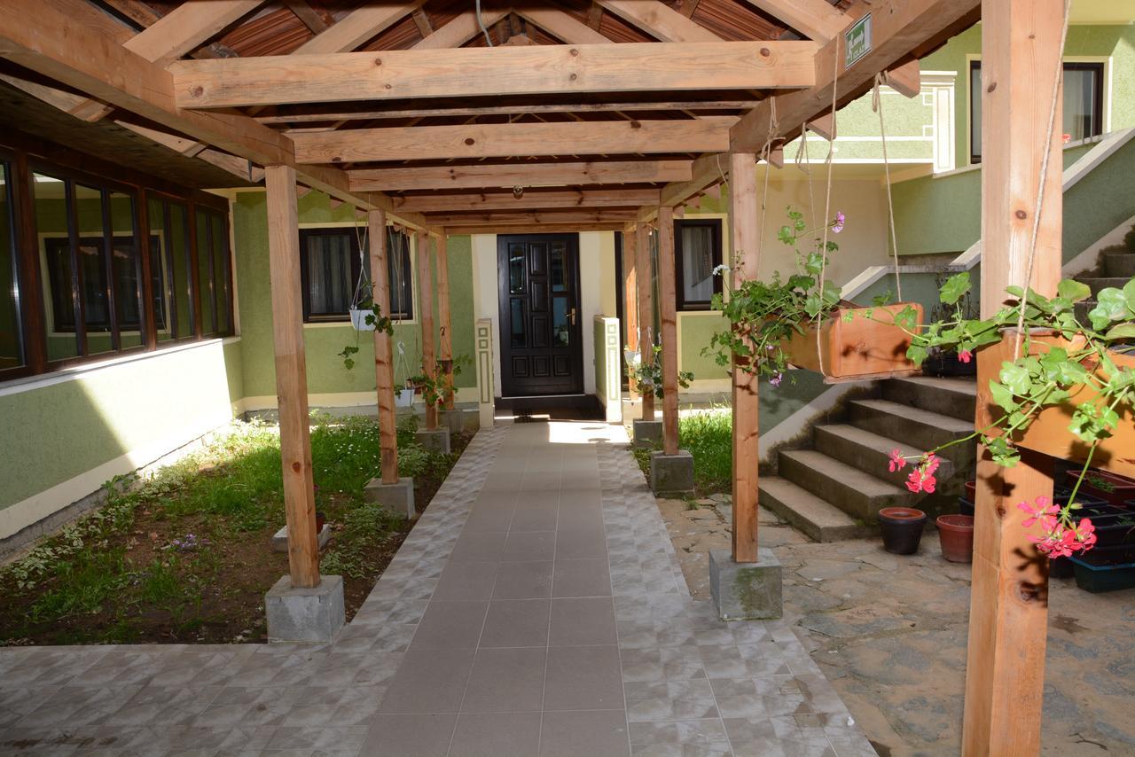 MM Narcis Bed and Breakfast Vlasina Rid Exterior foto